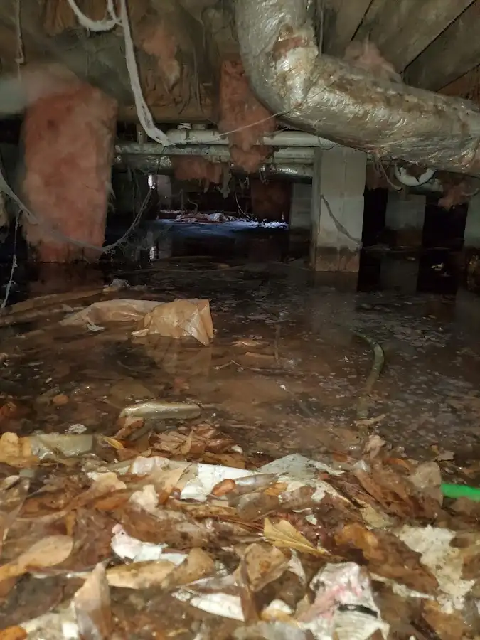 Crawl space flood assessment for Leak Detection & Repair in Palatine