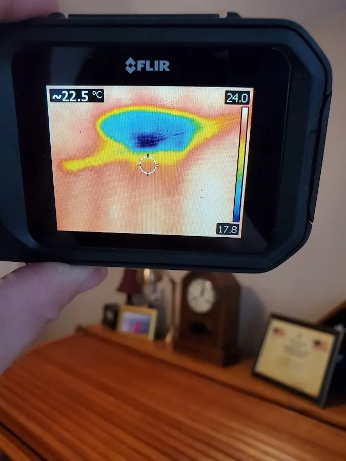Thermal imaging inspection for water damage in Palatine