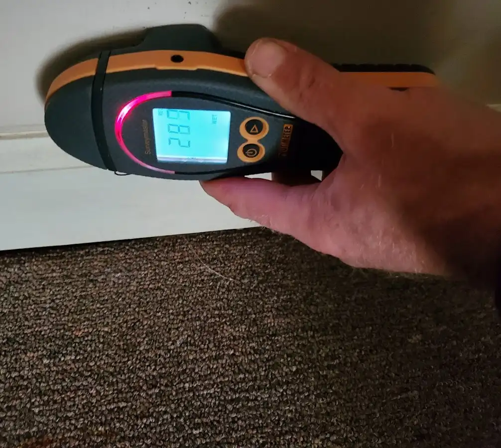 Moisture detection at baseboard during Storm Damage Restoration in Palatine